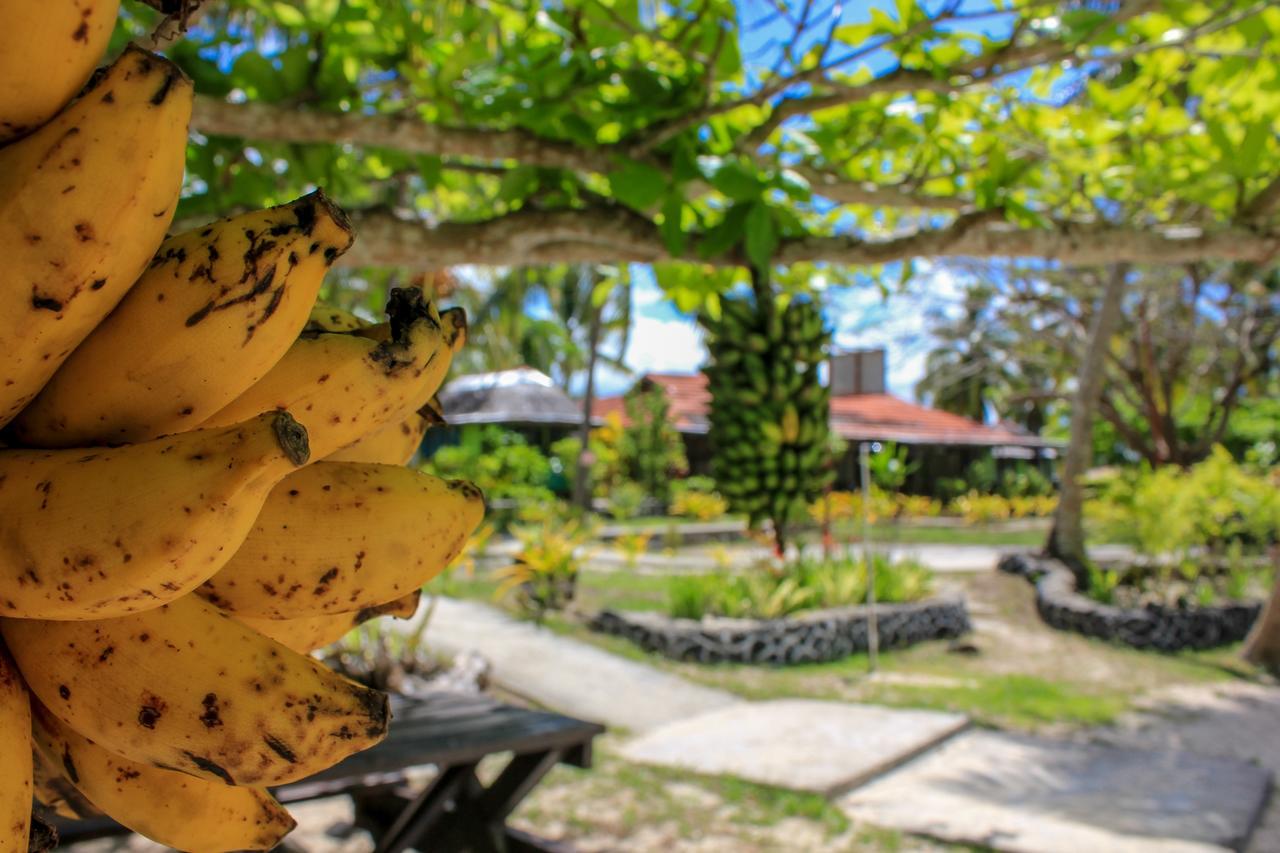 Vaimoana Seaside Lodge Savai'i Island エクステリア 写真